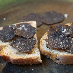 truffle workshop