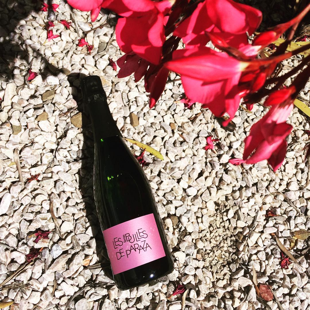 Les Bulles de Paraza Crémant de Limoux Les Bulles de Paraza au caveau de dégustation