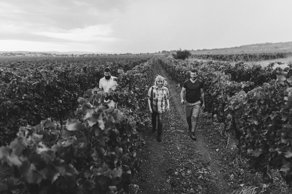 vigneron viticulteurs