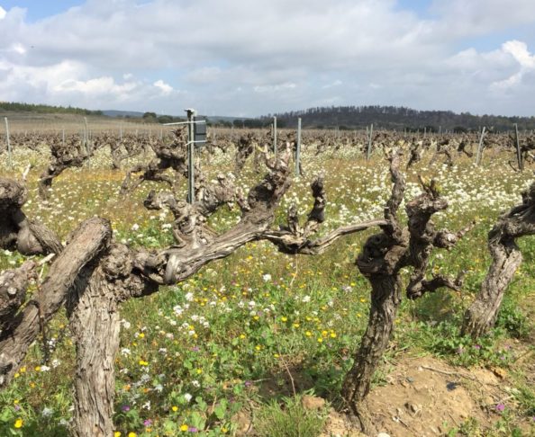 Confusion sexuelle 2018 confusion sexuelle paraza