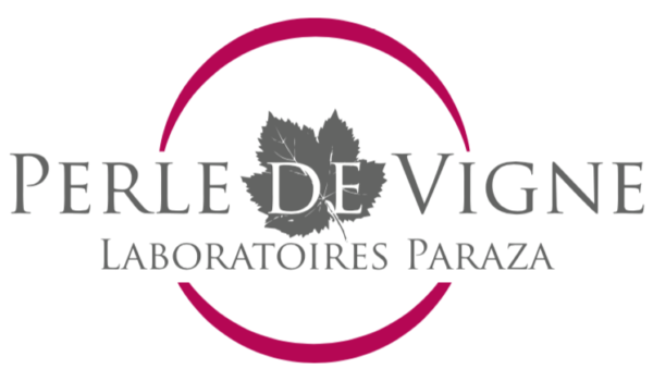 Logo Perle de Vigne