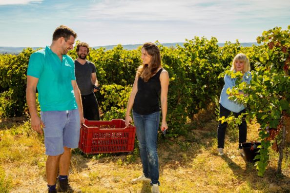 Chateau de Paraza vendanges family team vin minervois vendanges