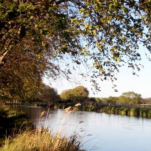 Explorez les environs et les berges du Canal du Midi. Une escapade en pleine nature pour s'évader du quotidien.