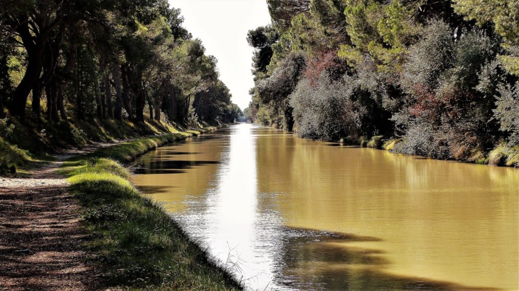 le Canal du Midi