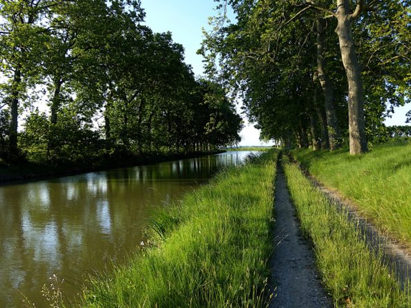 nature-5194651_1920 canal du midi