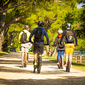 Trottinettes électriques