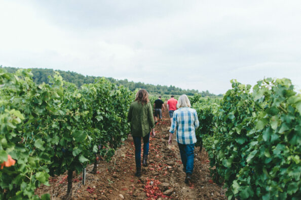 Chateau De Paraza_Family in the vines Ventes et dégustation de vins du Minervois au Chateau de Paraza par la famille Danglas